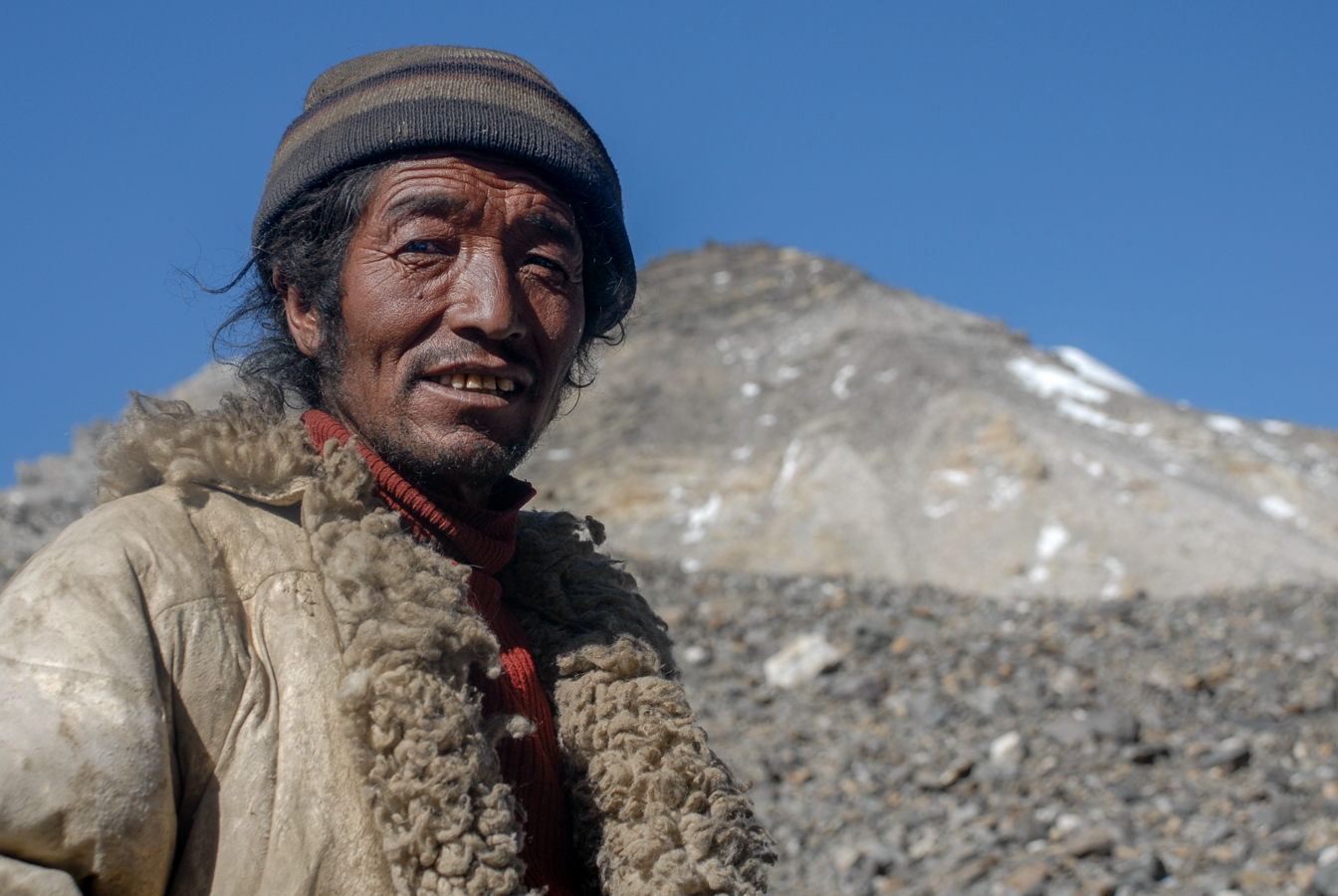 Tibetan Yak Herder